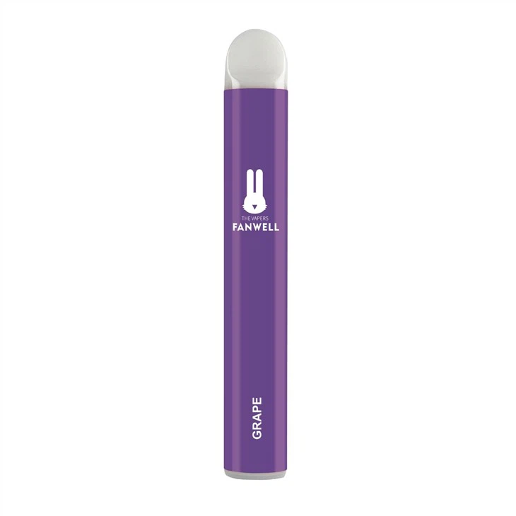 Disposable Vapes 800 Puffs